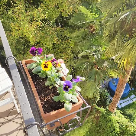 Le Camelie B&B 3*