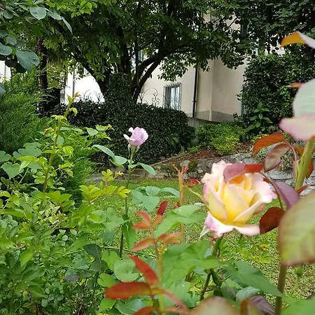 Bed and breakfast Le Camelie 3*