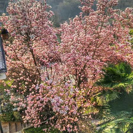 Bed and breakfast Le Camelie 3*