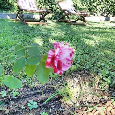 Frühstückspension Le Camelie 3*